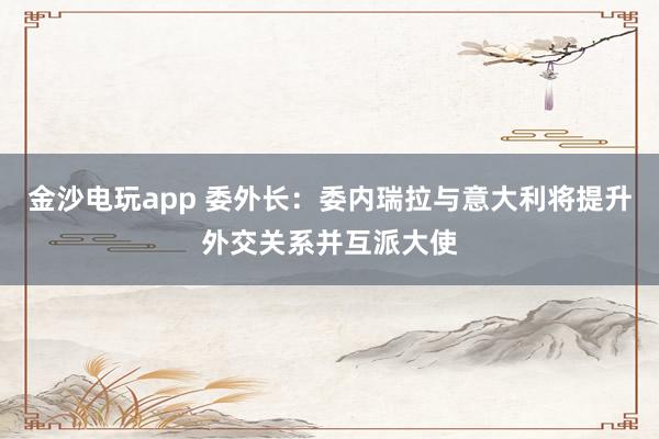 金沙電玩app 委外長：委內(nèi)瑞拉與意大利將提升外交關(guān)系并互派大使