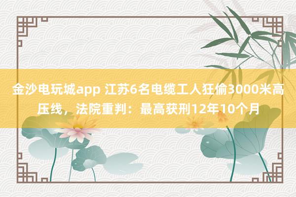 金沙電玩城app 江蘇6名電纜工人狂偷3000米高壓線，法院重判：最高獲刑12年10個月