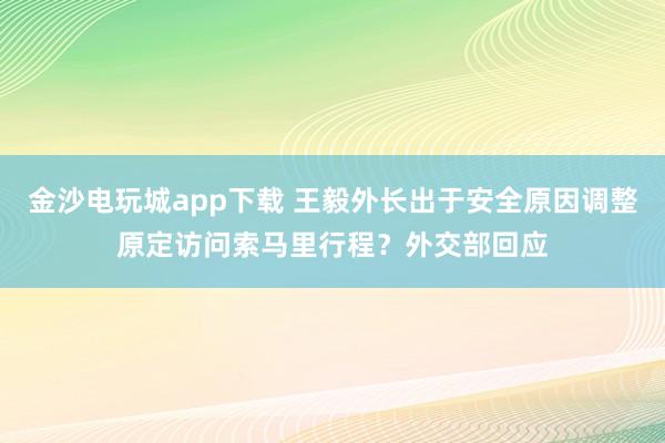 金沙電玩城app下載 王毅外長出于安全原因調(diào)整原定訪問索馬里行程？外交部回應
