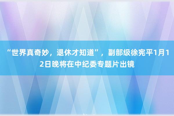 “世界真奇妙，退休才知道”，副部級(jí)徐憲平1月12日晚將在中紀(jì)委專題片出鏡