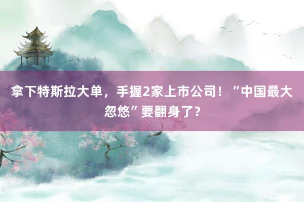 拿下特斯拉大單，手握2家上市公司！“中國最大忽悠”要翻身了？