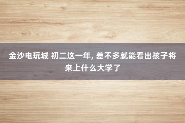 金沙電玩城 初二這一年, 差不多就能看出孩子將來上什么大學了