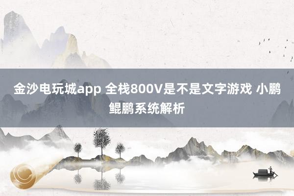 金沙電玩城app 全棧800V是不是文字游戲 小鵬鯤鵬系統(tǒng)解析