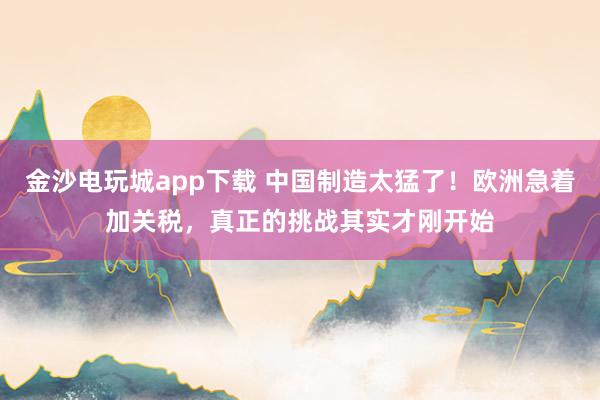 金沙電玩城app下載 中國(guó)制造太猛了!歐洲急著加關(guān)稅,真正的挑戰(zhàn)其實(shí)才剛開(kāi)始