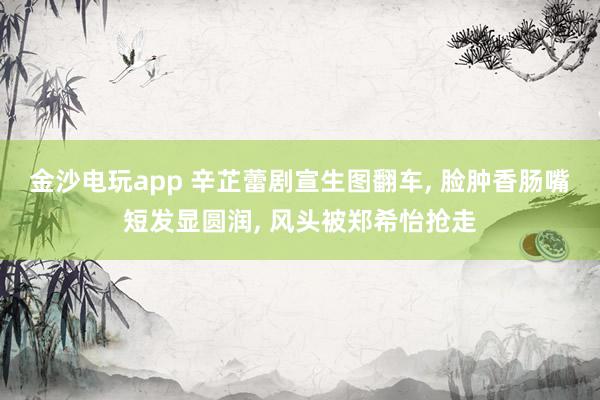 金沙電玩app 辛芷蕾劇宣生圖翻車, 臉腫香腸嘴短發顯圓潤, 風頭被鄭希怡搶走