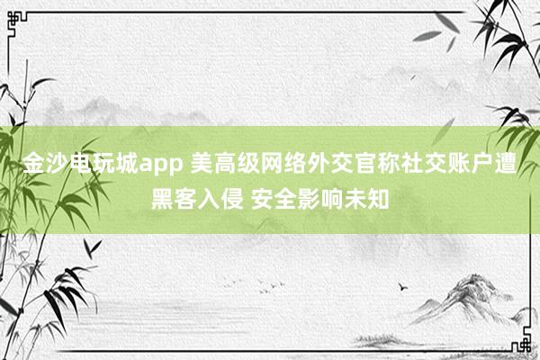 金沙電玩城app 美高級網絡外交官稱社交賬戶遭黑客入侵 安全影響未知