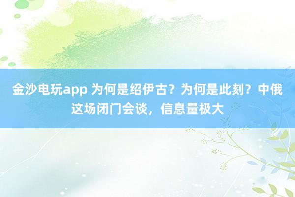 金沙電玩app 為何是紹伊古？為何是此刻？中俄這場閉門會談，信息量極大