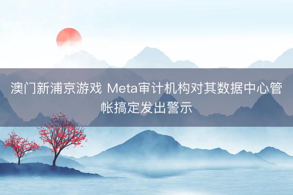 澳門新浦京游戲 Meta審計(jì)機(jī)構(gòu)對其數(shù)據(jù)中心管帳搞定發(fā)出警示