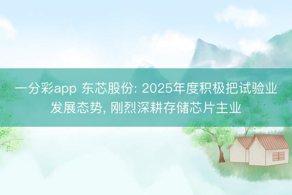 一分彩app 東芯股份: 2025年度積極把試驗(yàn)業(yè)發(fā)展態(tài)勢, 剛烈深耕存儲芯片主業(yè)